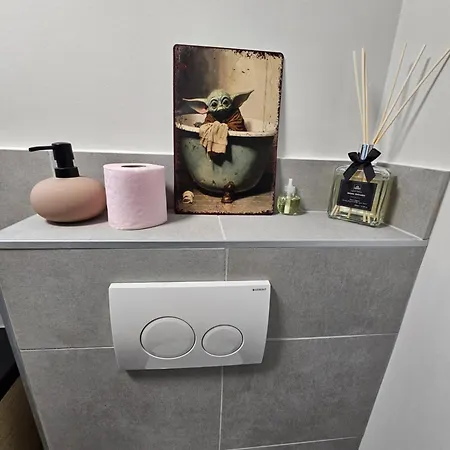 Διαμέρισμα Confort Proche Gare Et Centre-ville Στρασβούργο