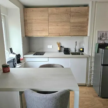 Apartment Confort Proche Gare Et Centre-ville Straßburg