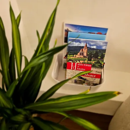 Apartment Confort Proche Gare Et Centre-ville Straßburg