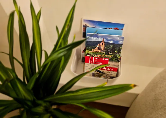 Appartamento Confort Proche Gare Et Centre-ville Strasburgo